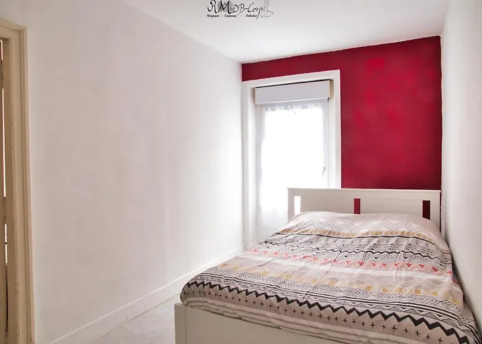 Appartement Hypercentre Au 2Eme, Zoo - 24H Du Mans